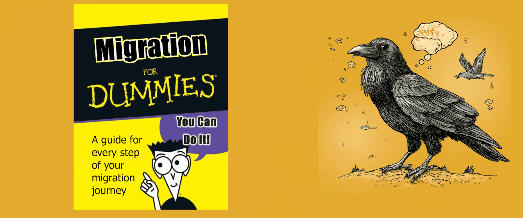  Migration for Dummies
